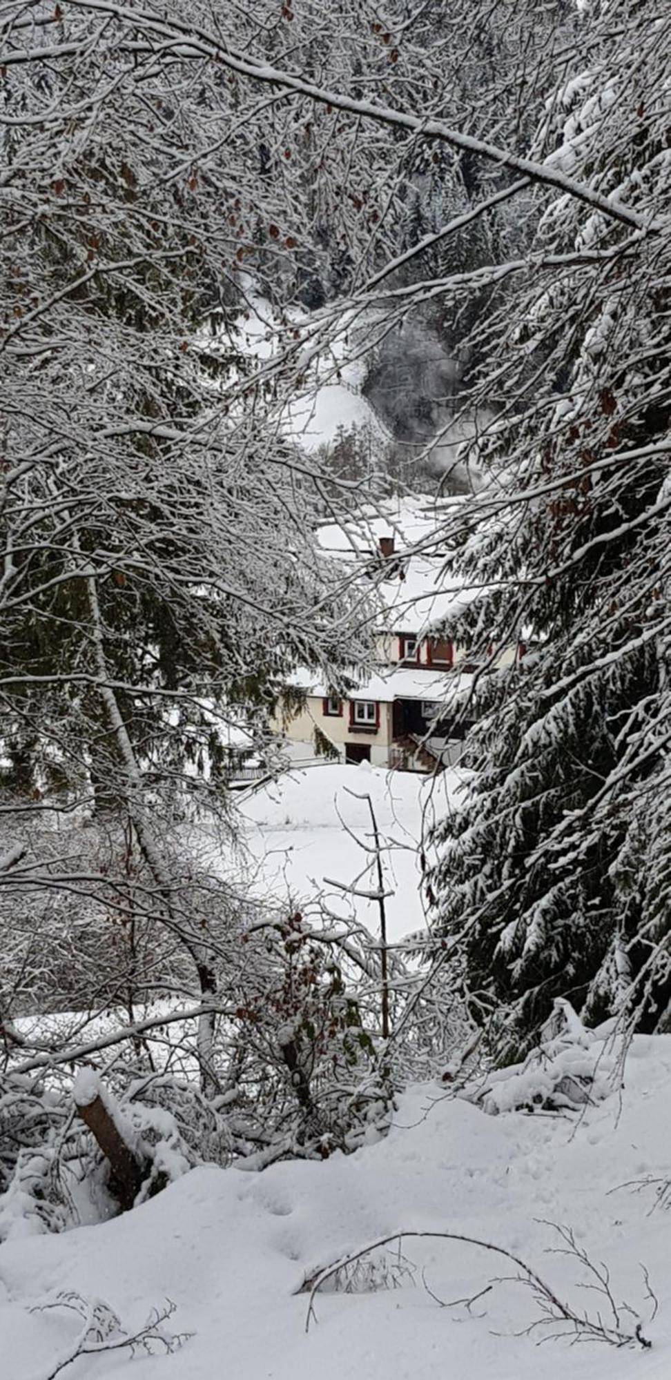Ferienhof Ziegler - Fingerhut Baiersbronn Exterior foto